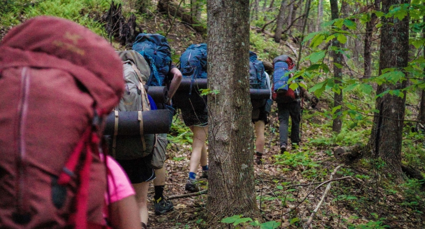 A group of backpackers move away from the camera in a green, wooded area. 